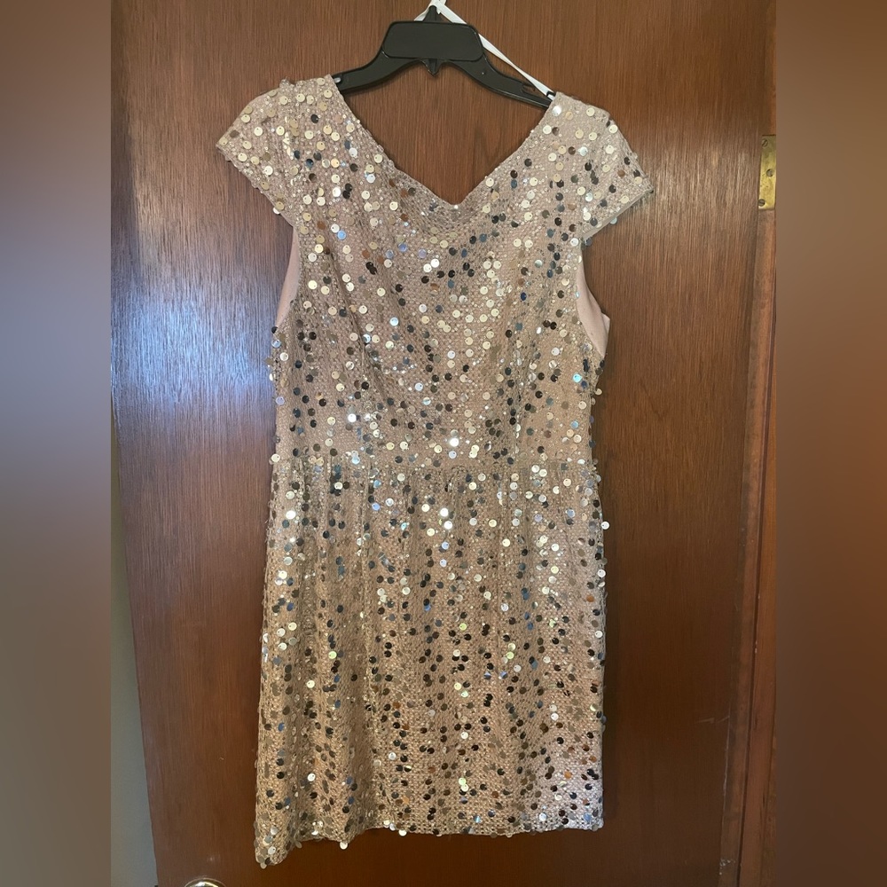 Pretty cocktail dress. I wore it for a NYE party.